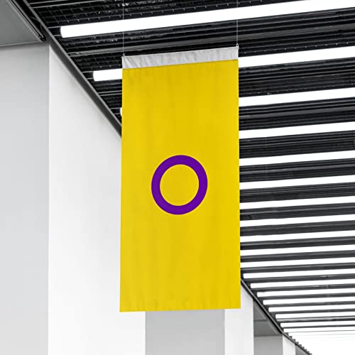 Bandeira do Orgulho Intersexo - Gay Flag Set Cor Vívida e Prova de Desbotamento - Kit LGBTQIA Rainbo