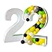 POLISTIROLO Contenitore per Palloncini Fiori ECC. Numero 2 Misure 70 cm Alta x 50 cm. Larga Party Festa Nascita Art Balloon Pezzo Singolo