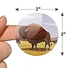 American Bison Buffalo Herd on The Plains 2" Planner Calendar Scrapbooking Crafting Clear Stickers #5