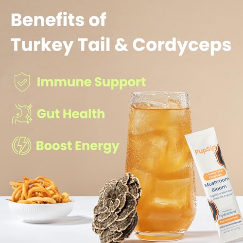 PupSip Turkey Tail Mushroom for Dogs – Dog Mushroom Powder Supplement for Immune Support, Gut Health & Digestive Wellness – Vet-Formulated with Cordyceps & Bone Broth – 12 Sticks - Image 2