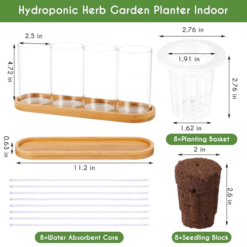 Teenyyou 8 Pcs Hydroponic Herb Planter Growing Kit Self Watering Glass Vase with Wooden Stand Herb Garden Starter Kit for Propagating Hydroponic Plants Centerpiece Office Home Garden Decor