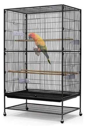 Bird cage Imported - Good for Canary Finches Lovebirds Cockateils Budgerigars Java Sparrow Diamond Dove & Conure (B0897HC7VC) Amazon Price History, Amazon Price Tracker