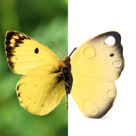 Miniatura 5 de Oli & Carol Juguete de dentición en forma de mariposa - Juguete de dentición de goma Hevea natural  Juguetes estéticos para bebés  Mordedores para