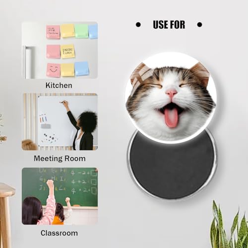 Imán de vidrio con diseño de gato para refrigerador miniatura 5