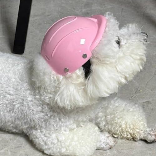 Fahrradhelm für Hunde – Sicherheitshelm für Motorrad und Fahrrad für kleine Hunde, Windschutz für alle Rassen, Kätzchen, Reiten, Camping, Roller, Reisen, Wandern, Radfahren, Outdoor