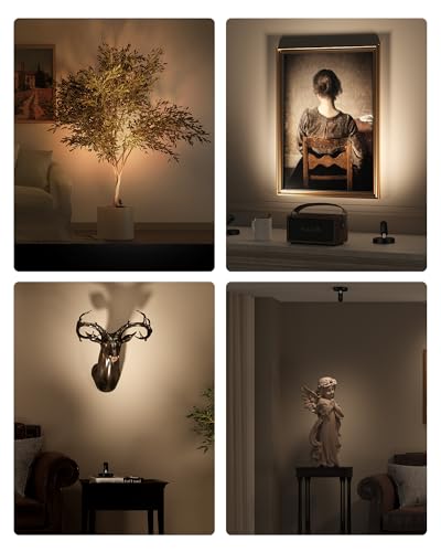 EZVALO Spotlights Indoor with Remote, 5500mAh Rechargeable Picture Lights, Wireless Uplights with Timer & Dimmable, 3-CCT, Accent Lighting for Plant, Art, Painting, Gallery, Wall Decor (2-Pack Black)
