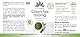 Grüner Tee Extrakt - 90 Kapseln - 1500mg Grüner Tee-Extrakt pro Tagesdosis - EGCG - Camellia sinensis - mind. 50% Polyphenole - vegan | HERBADIREKT by Warnke Vitalstoffe - Deutsche Apothekenqualität