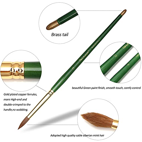 Dainayw DN3DMHB Kolinsky Watercolor Brushes thumb #3