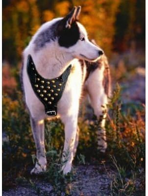 Dean & Tyler's Stud Brother Leather Harness - Large (Girth: 22" - 36" Neck: 17" - 27"), Black with Natural Felt Padding on The Inside