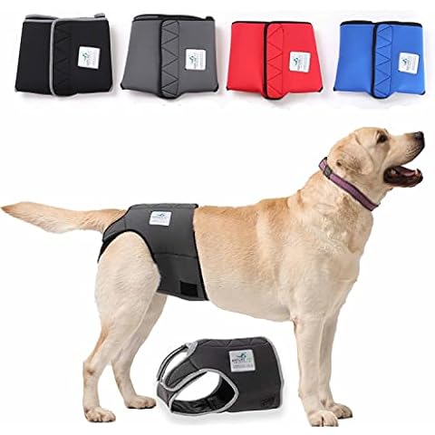 NATURE PET Braguitas Protectoras de Neopreno Perforado Cover