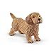 Produktbild SCHLEICH 13891 Spielfigur - Dackel (Farm World)