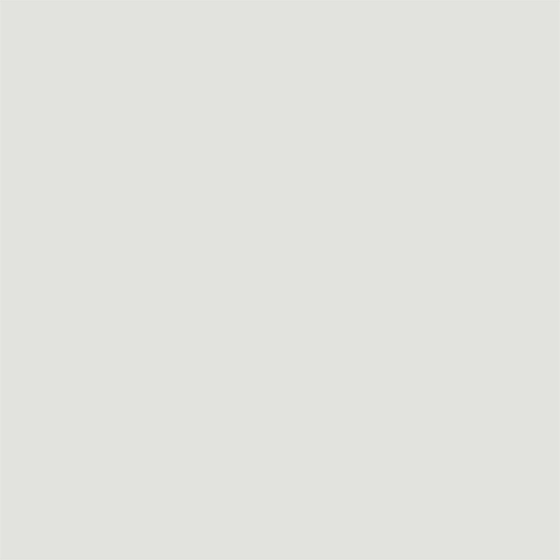 ADLER Ferro-Color RAL7035 Lichtgrau 750ml