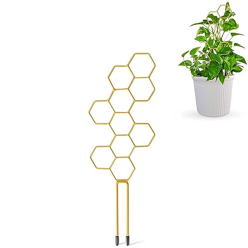 OWKAY Pflanzenständer Gartenklettergerüst Stützstiele Wabeneisenrahmen Kreative Pflanzenbefestigungsstangen
