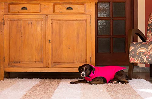 Capa Snow - M - Rosa (Pesc 36 x Peit 46a50 x Comp 35cm)