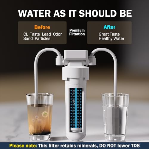 Frizzlife XWF(NOT XWFE) Refrigerator Water Filter Replacement for GE XWF, NSF Certified Fit the Original Brand, Leak-proof Design, 1 Pack