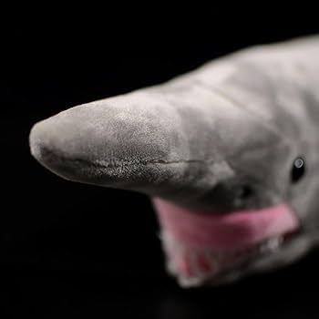 サメのヒレ　空想アパートメント ② fish&fancy”全長70cm！超リアル ホホジロザメ 抱きまくら サメ