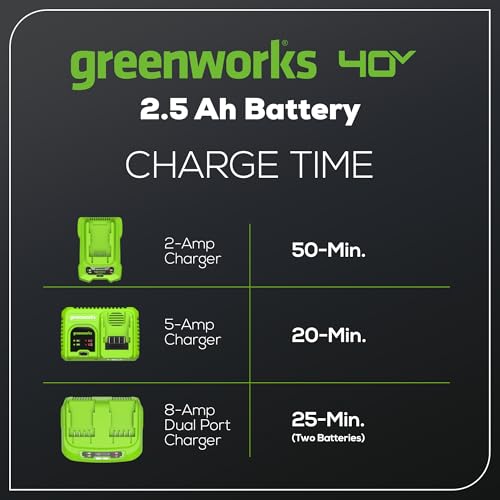 Image of Greenworks 40V 2.5Ah Lithium-Ion Battery (Genuine Greenworks Battery / 75+ Compatible Tools)