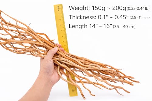 Image of Azil Natural Aquarium Driftwood Root - Driftwood for Aquarium Decor, 170g~0.38lb (14″-16″), Fish Tanks, Terrariums, Aquascaping & Planted Tanks
