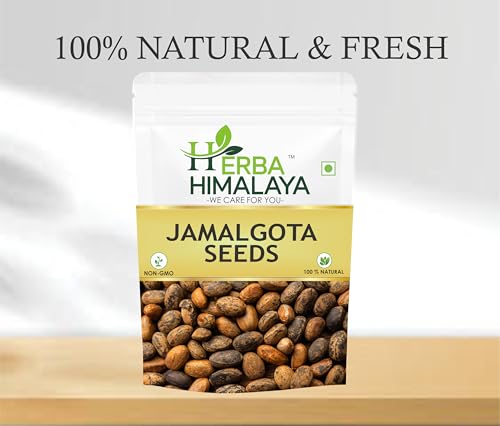 Image of Herba Himalaya Jamalgota Seeds 200gm Jamalgota Beej Croton Tiglium Natural Jamalghota Seeds