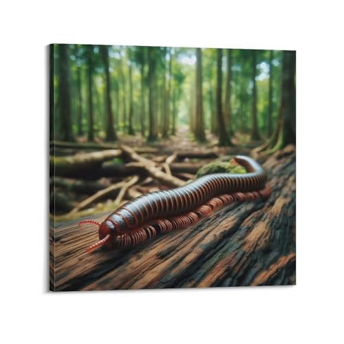 Impression sur toile haut de gamme mille-pattes CMHONLY déco murale sur châssis bois