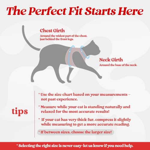 Image of rabbitgoo Cat Harness and Leash Set, Step-in Soft Vest, Red | Escape Proof, Lightweight, Easy-on & Adjustable, Hook & Loop with Buckle, Reflective, for Kittens & Small Cats Walks, M