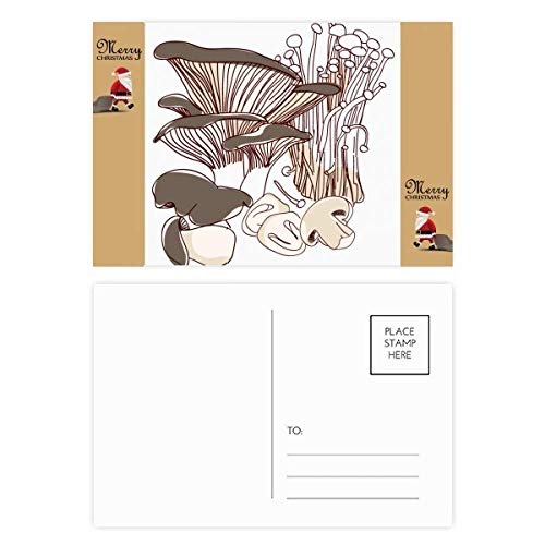 Cartes postales Père Noël Yummy Home - Lot de 20 cartes de vœux traditionnelles pour les fêtes