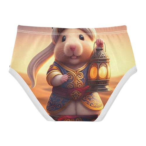 Cute Hamster Traditional Eastern Girls Underwear Toddler 2t Cotton Little Girl Panties Colorful Kids Undies Briefs2