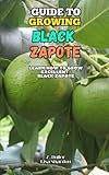 Guide to Growing of the Black Zapote: Learn how to grow excellent Black Zapote
