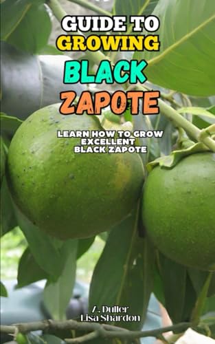 Guide to Growing of the Black Zapote: Learn how to grow excellent Black Zapote