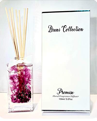 Brani Collection Promise