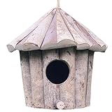 Nido de Colibrí con Refugio de Madera Y Techo Anidación | Pequeñas Casas para Colibríes Exterior | para Gorrión Troyeva Pinzón Perico Merlebleu Ventana Árbol Jardín Patio