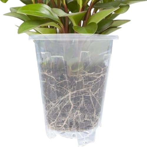 Maceta transparente, contenedor de control de raíces, 14 cm, lavabo transparente con agujero de drenaje, contenedor transpirable para el crecimiento de plantas, para un desarrollo saludable de raíces
