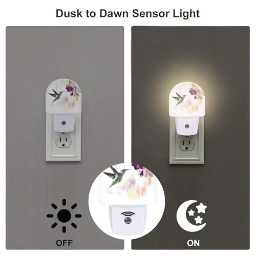 Image of Hummingbird Flowers Night Light for Kids,Groovy Cute Bird Floral Night Light Plug in with Dusk to Dawn Sensor,0.5w Energy Saving Sleep Friendly Nightlight for Hallway Stairway Kitchen Bedroom