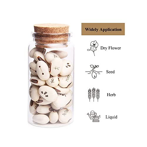 Danmu 100ml Mini Glass Bottles, Mini Bottles, Jars with Wood Cork Stoppers, Wish Bottles, Message Bottles for Wedding Favors, Baby Shower Favors, DIY Craft 6 Pack