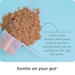 Ancient Nutrition Grass Fed Whey Protein, Milk Chocolate, 23g Protein, 20 Servings, Hydrolyzed Collagen Peptides, Organic Regenerative A2/A2 Milk Protein - Image 4