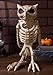 Crazy Bonez Skeleton Owl
