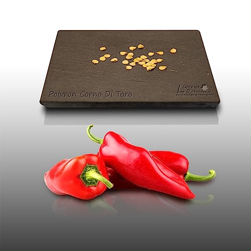 25 graines à semer - Le Grenier d'Abondance - POIVRON Corno di toro - Capsicum annuum
