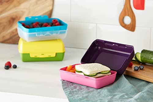 Foto von Emsa Clipboxen 3er-Set Variabolo 509388 | 6 Halbschalen für 3 Dosen | Beliebig zusammensetzbar | Spülmaschinengeeignet | Besonders für Kinder geeignet, Bunt, 15 x 3,5 x 10 cm