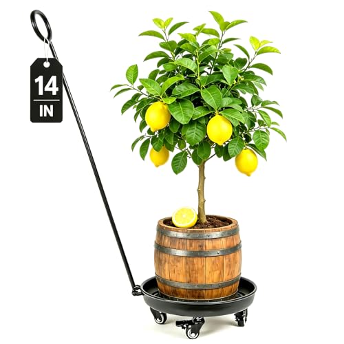Goooxim 14-Inch Heavy-Duty Plant Rollers with Wheels - Ergonomic Dolly for Indoor & Outdoor Pots, Supports 200 lbs, Effortless Mobility for Home & Garden Care by Goooxim - Used condition - US$22.68