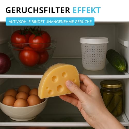 Filter Set passend für Miele Active AirClean Filter 7236280 / KKF-RF | Kühlschrank Luftfilter - Aktivkohlefilter Geruchsfilter Air Clean