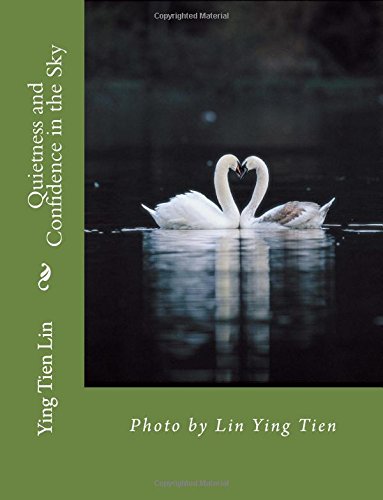 Quietness and Confidence in the Sky: Photo by Lin Ying Tien