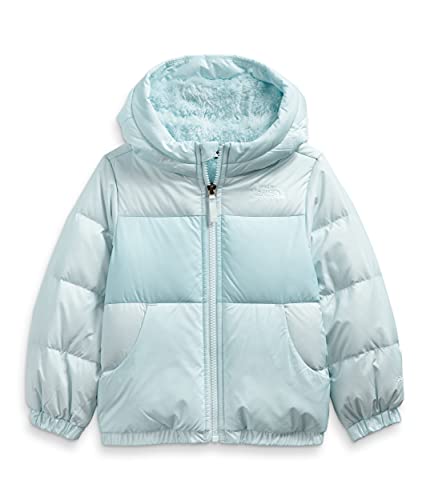 Image of The North Face Toddler Moondoggy Hoodie, Ice Blue, 2T