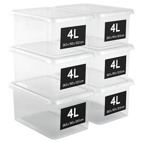 AHIOVA 6 scatole portaoggetti in plastica piccole 4L 26,5 x 19,5 x 12,5 cm con coperchio. Scatole trasparenti al 100%, scatole organizer e impilabili. Click a Pressione. (4 Litri)
