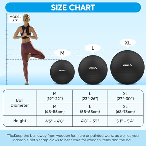 Thumbnail image for APEXUP Yoga Ball Exercise Ball