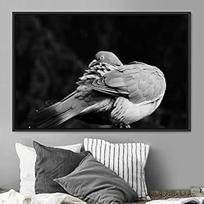signwin Framed Canvas Wall Art Bird Canvas Prints...