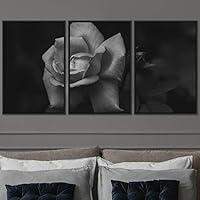 3 Piece Framed Canvas Wall Art Black and White Botanical Canvas Prints Home Artwork Decoration for Living Room,Bedroom - 16