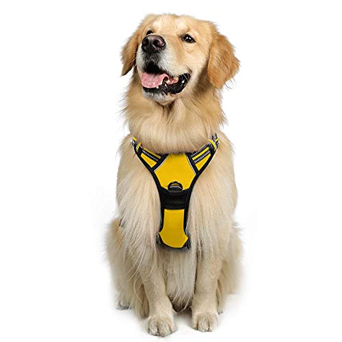 rabbitgoo Dog Harness No Pull with 2 Leash Clips, Adjustable Soft Padded, Reflective Oxford No Choke Pet Vest with Easy Control Handle for Large Dogs, Yellow, L