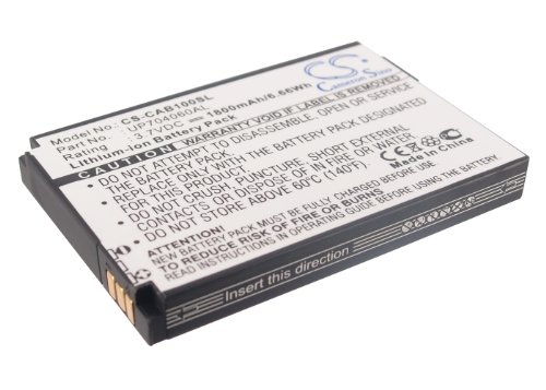 Battery Replacement for CAT B10 LIONX