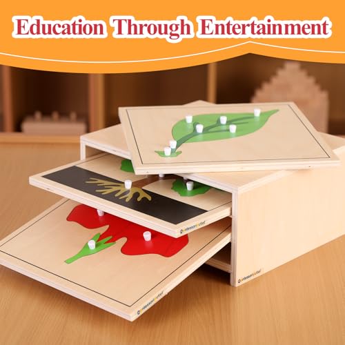 Image of MONTESSORI OUTLET Nature Materials Leaf Puzzle Early Preschool Learning Toys for 3-12 Year Old Kids and Toddler
