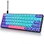 Gateron Optical Red-JOKER